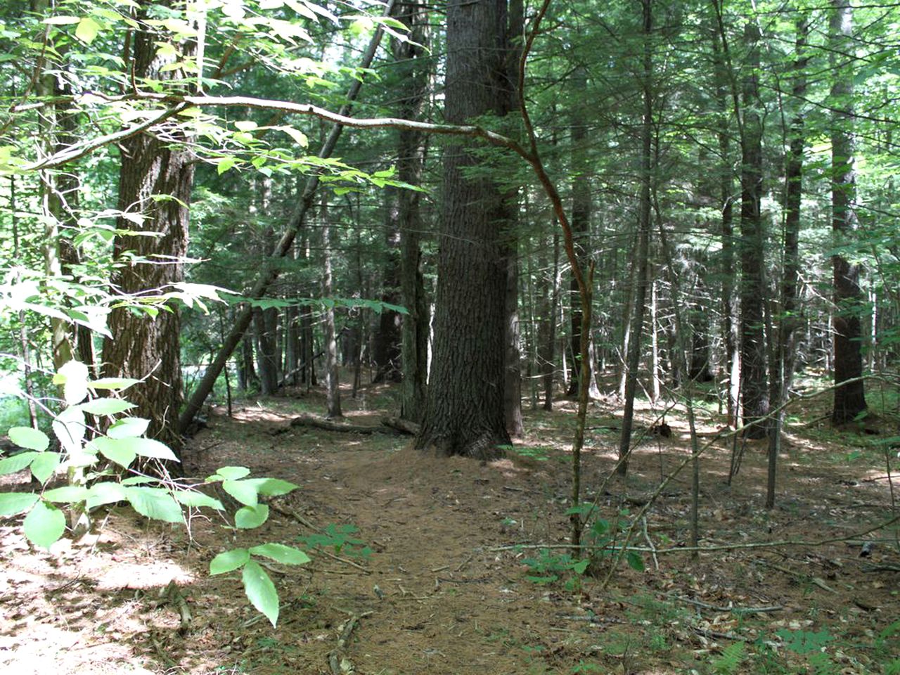 Family-Friendly Cabin on Trout Brook near Gore Mountain Ski Resort in Bakers Mills, New York