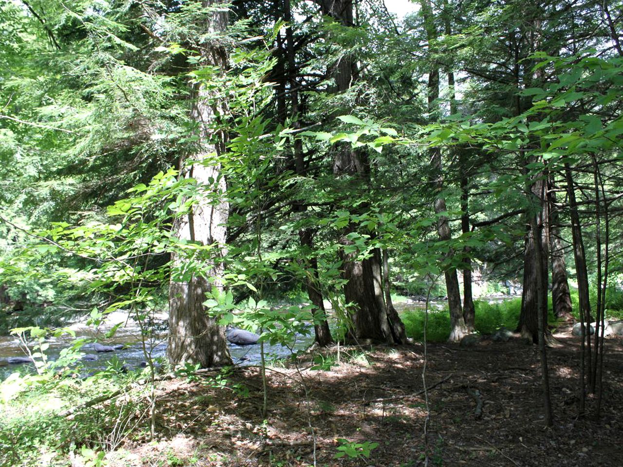 Family-Friendly Cabin on Trout Brook near Gore Mountain Ski Resort in Bakers Mills, New York