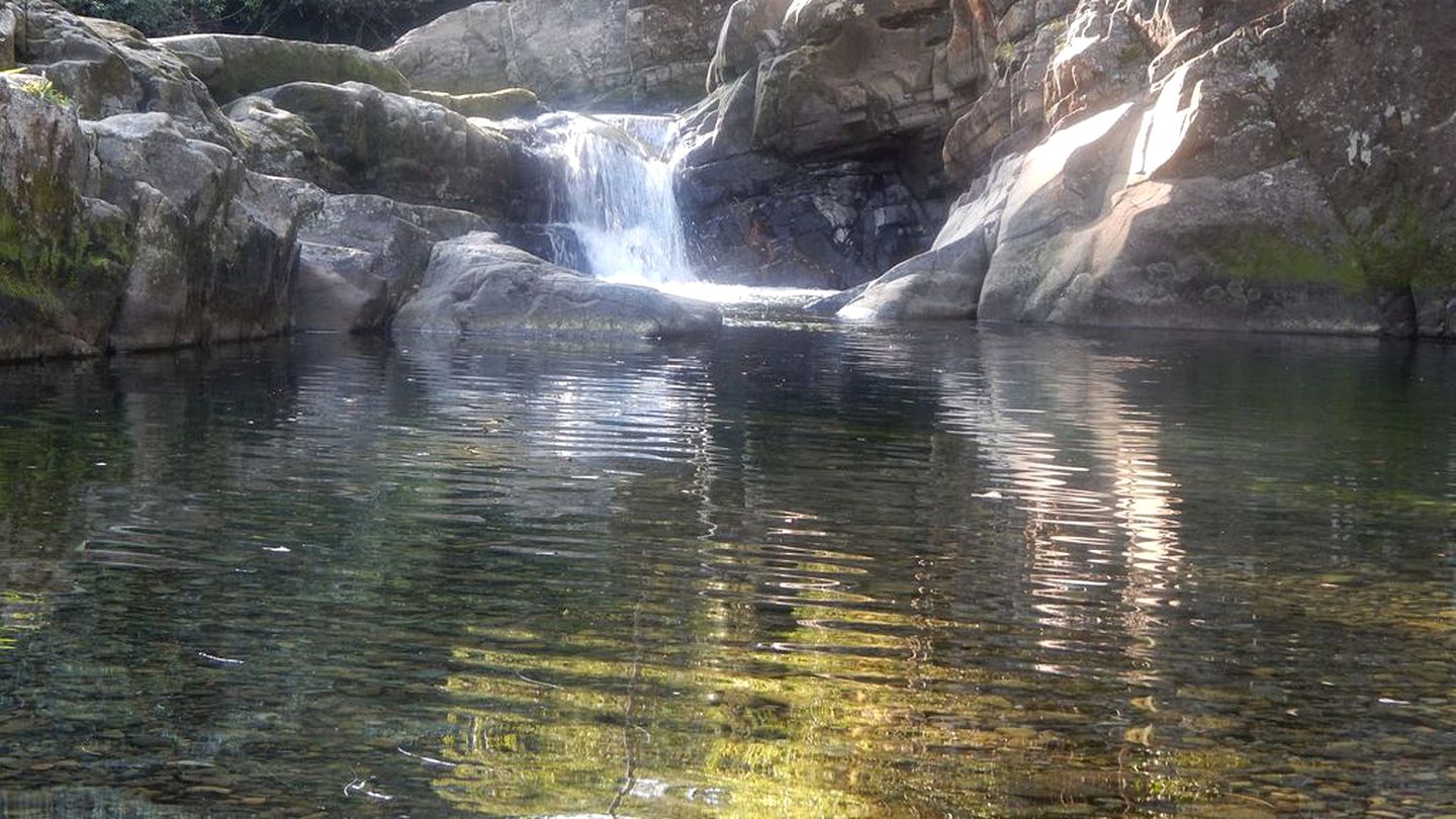 Picturesque River Cabin near Barrington Tops Park in New South Wales