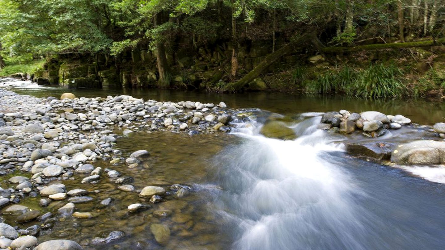 Riverside Cabin Rental for a Weekend Getaway from Newcastle, New South Wales