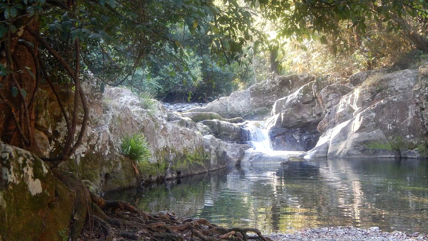 Riverside Cabin Rental for a Weekend Getaway from Newcastle, New South Wales