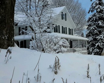 Cozy Accommodation with Mountain Views in Olmstedville, New York photo 3