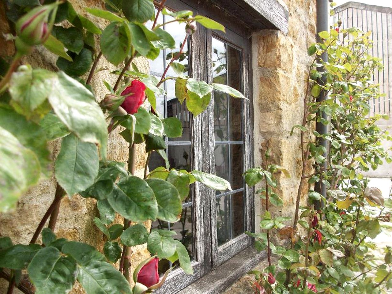 Historic Holiday Getaway Rental on Somerset Farm near Glastonbury, England