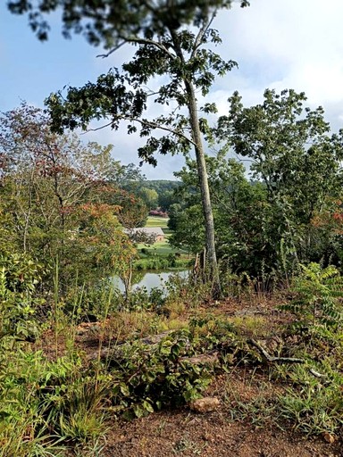Vacation Rentals (United States of America, Rogersville, Alabama)