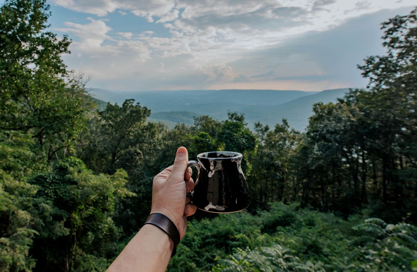 Luxurious Cabin with Jacuzzi and Breathtaking Views in Georgia