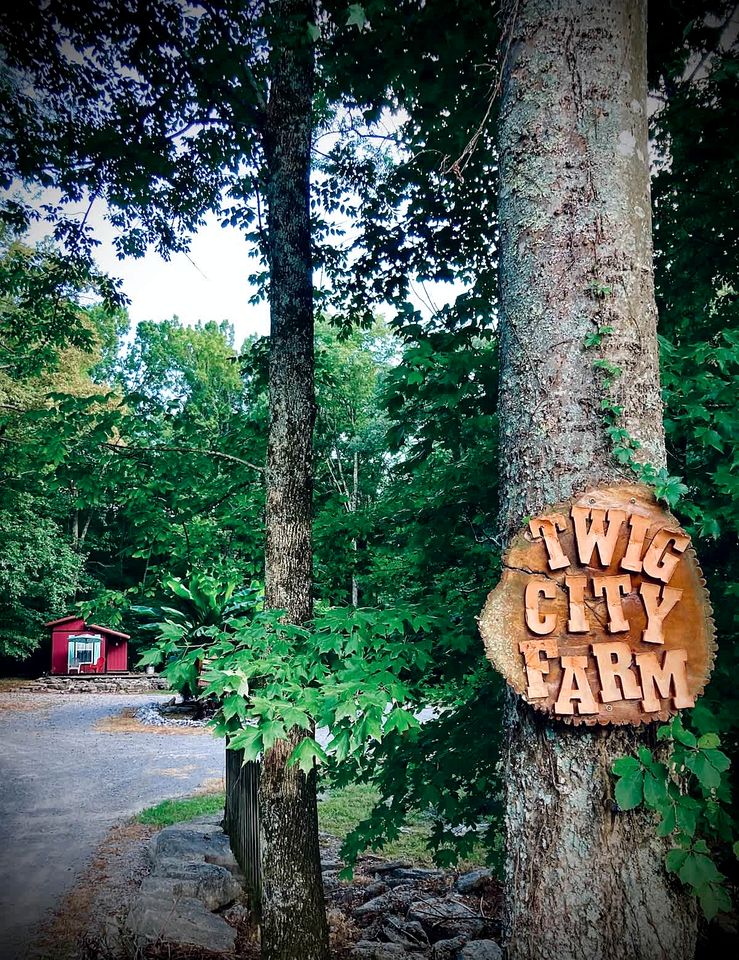 Cozy Backstage Tiny House Near Old Hickory Lake – Pet-Friendly, Private Deck, Breakfast Included