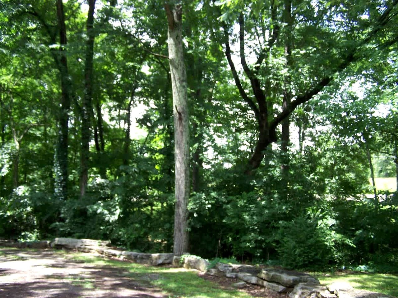 Cozy Backstage Tiny House Near Old Hickory Lake – Pet-Friendly, Private Deck, Breakfast Included