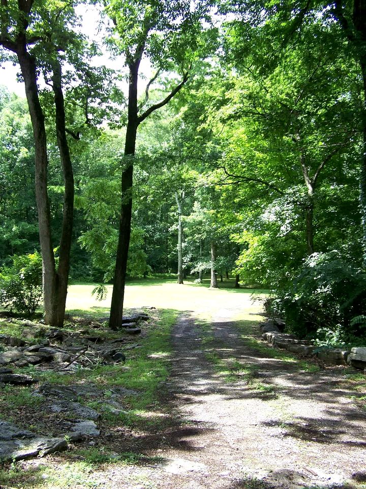 Cozy Backstage Tiny House Near Old Hickory Lake – Pet-Friendly, Private Deck, Breakfast Included