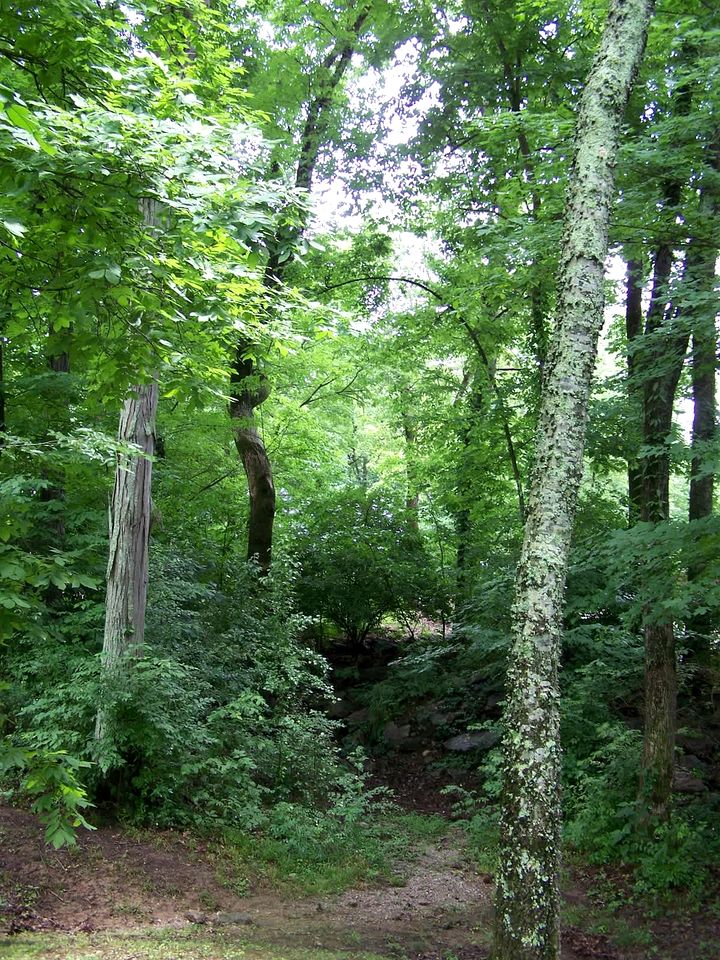 Cozy Backstage Tiny House Near Old Hickory Lake – Pet-Friendly, Private Deck, Breakfast Included