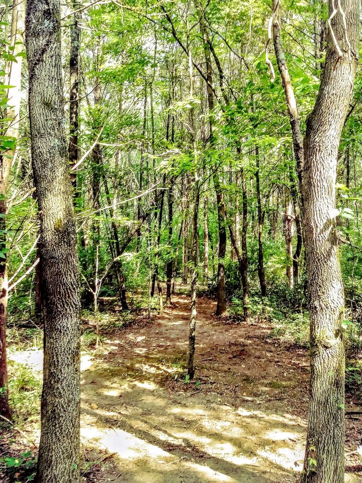 Cozy Backstage Tiny House Near Old Hickory Lake – Pet-Friendly, Private Deck, Breakfast Included
