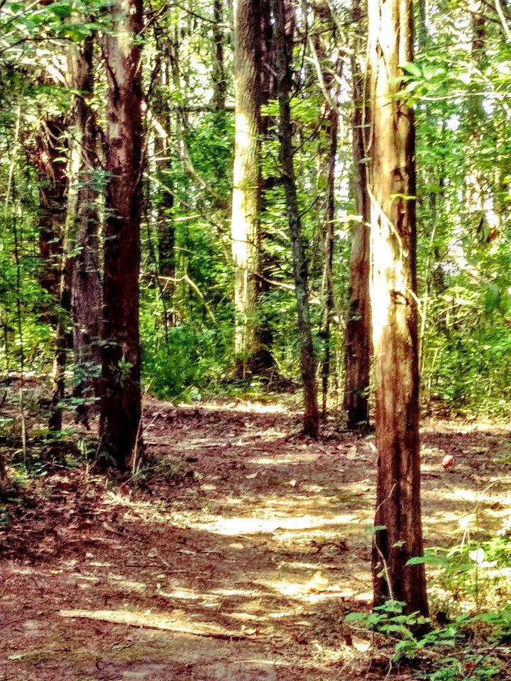 Cozy Backstage Tiny House Near Old Hickory Lake – Pet-Friendly, Private Deck, Breakfast Included