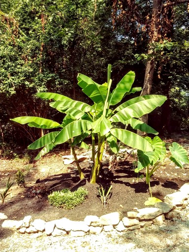 Tiny Houses (United States of America, Lebanon, Tennessee)
