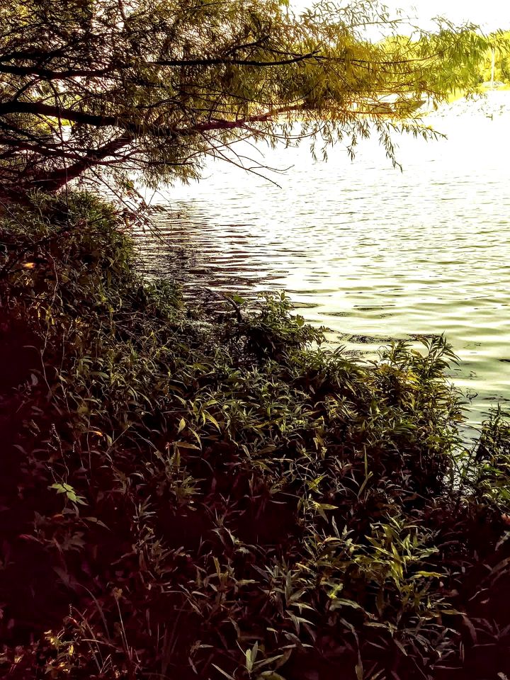 Cozy Backstage Tiny House Near Old Hickory Lake – Pet-Friendly, Private Deck, Breakfast Included