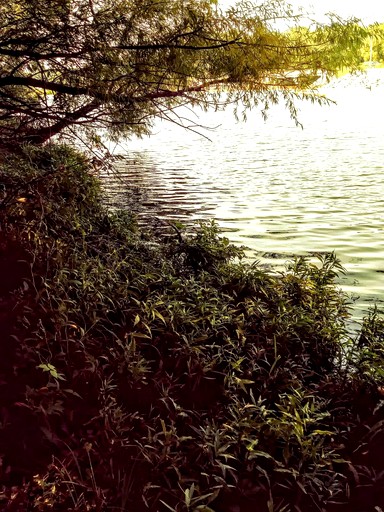 Tiny Houses (United States of America, Lebanon, Tennessee)