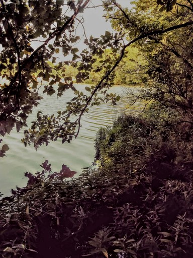 Tiny Houses (United States of America, Lebanon, Tennessee)