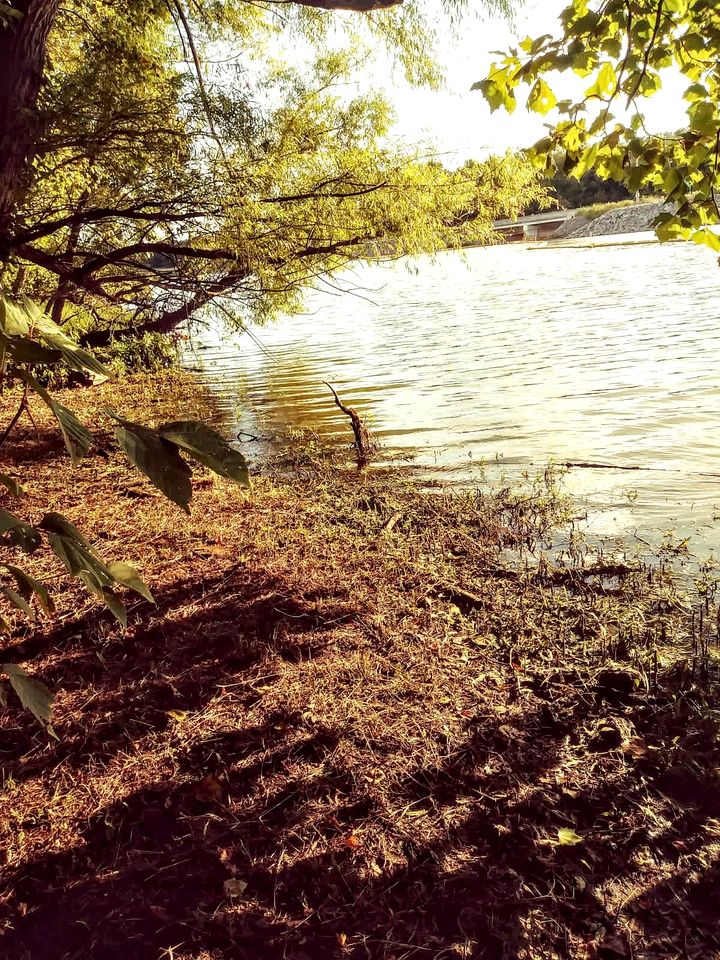 Cozy Backstage Tiny House Near Old Hickory Lake – Pet-Friendly, Private Deck, Breakfast Included