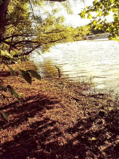 Tiny Houses (United States of America, Lebanon, Tennessee)
