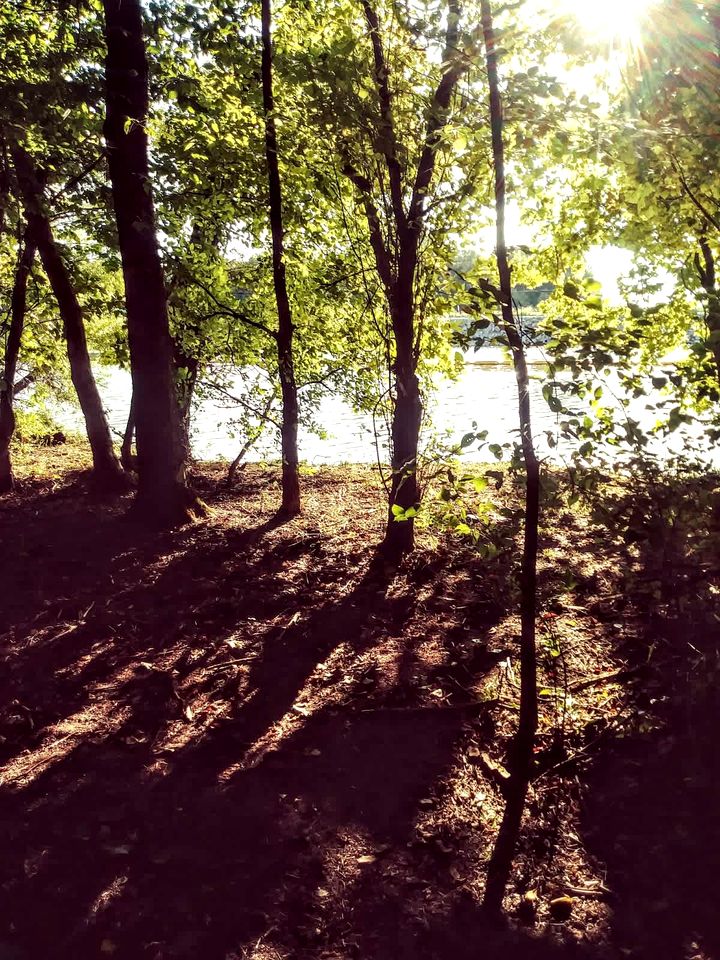 Cozy Backstage Tiny House Near Old Hickory Lake – Pet-Friendly, Private Deck, Breakfast Included