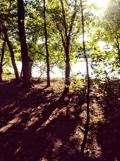 Tiny Houses (United States of America, Lebanon, Tennessee)