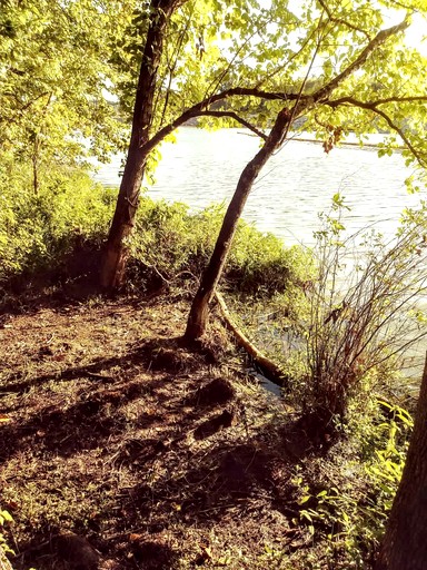 Tiny Houses (United States of America, Lebanon, Tennessee)