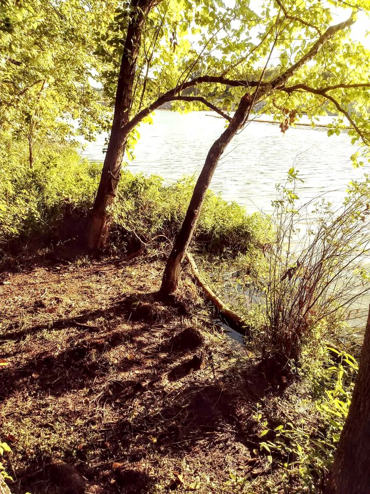 Cozy Backstage Tiny House Near Old Hickory Lake – Pet-Friendly, Private Deck, Breakfast Included