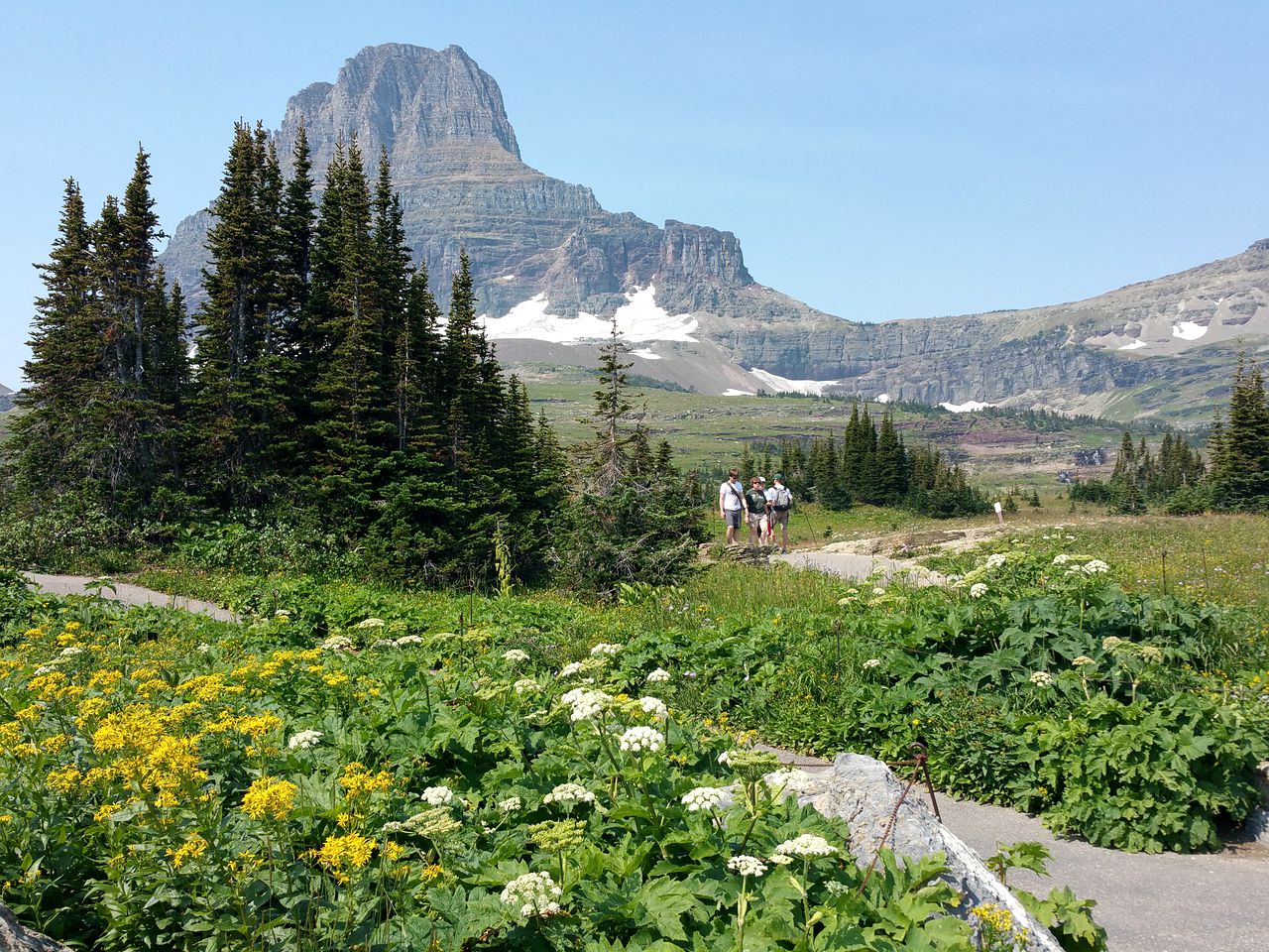 Spacious Pet-Friendly Cabin for a Vacation near Glacier National Park, Montana