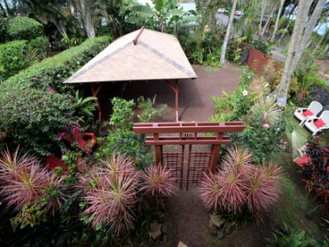 undefined photo 3