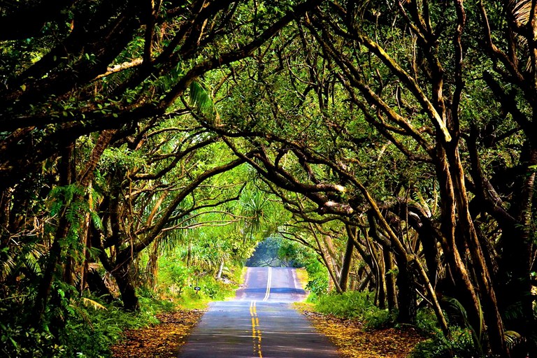 Cottages (Pahoa, Hawaii, United States)