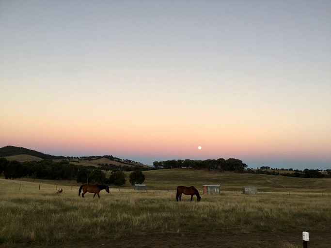 Barns (Benalla, Victoria, Australia)