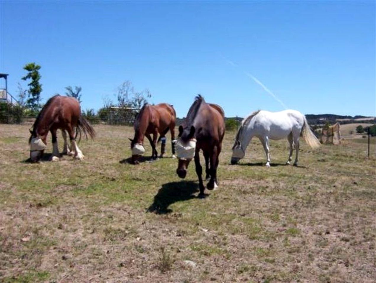 Spacious Barn for a Countryside Group Holiday near Mount Buffalo National Park in Victoria