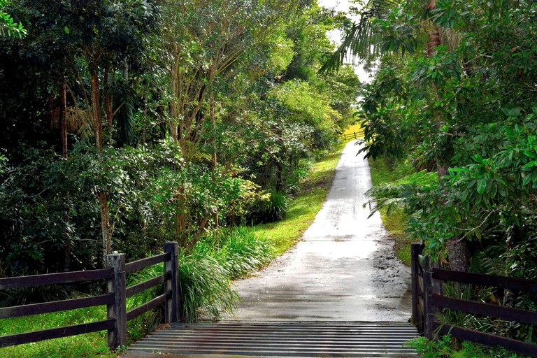 Cottages (Binna, New South Wales, Australia)