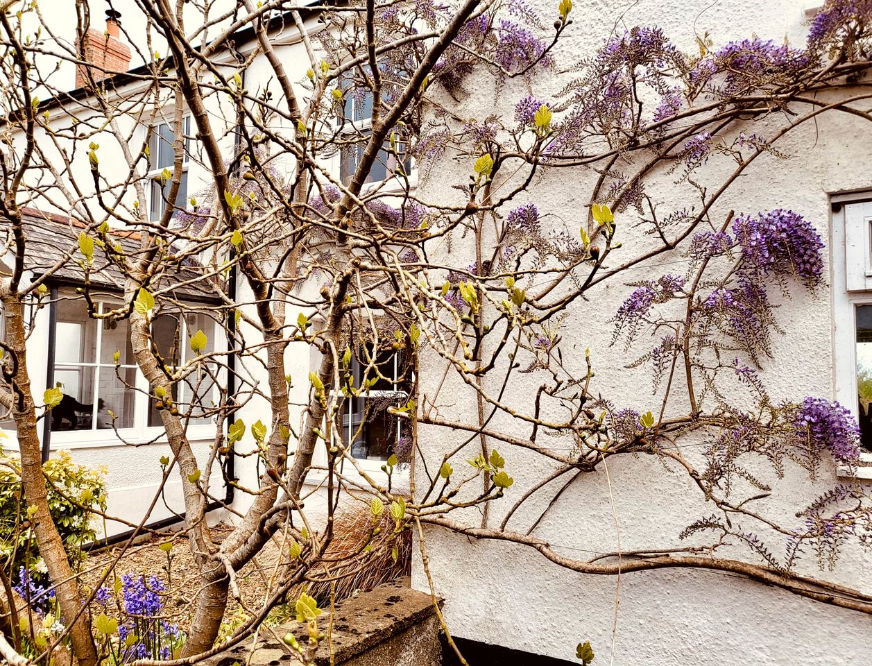 Incredible Secluded Cottage with Hot-tub in Umberleigh, England