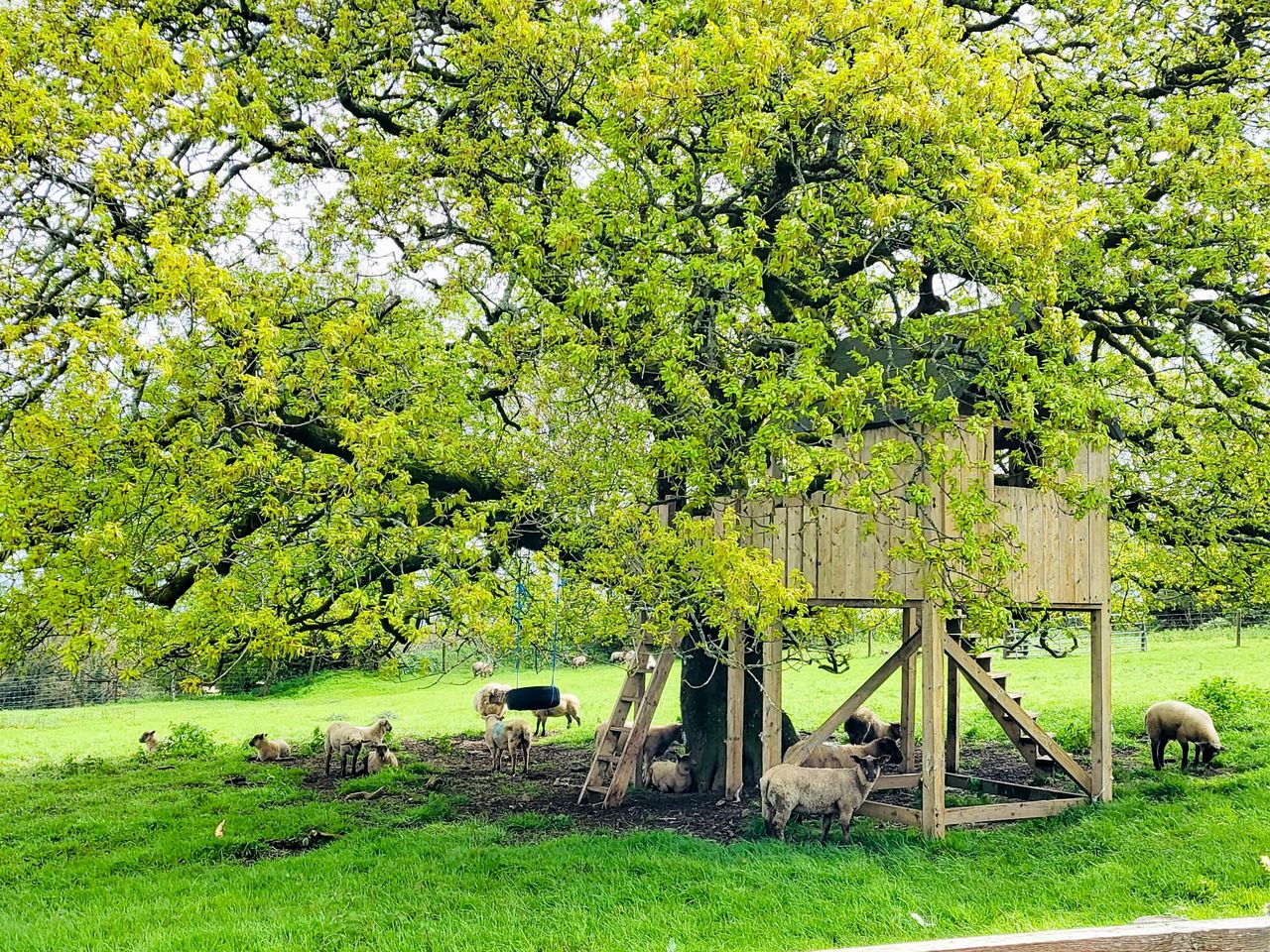 Incredible Secluded Cottage with Hot-tub in Umberleigh, England