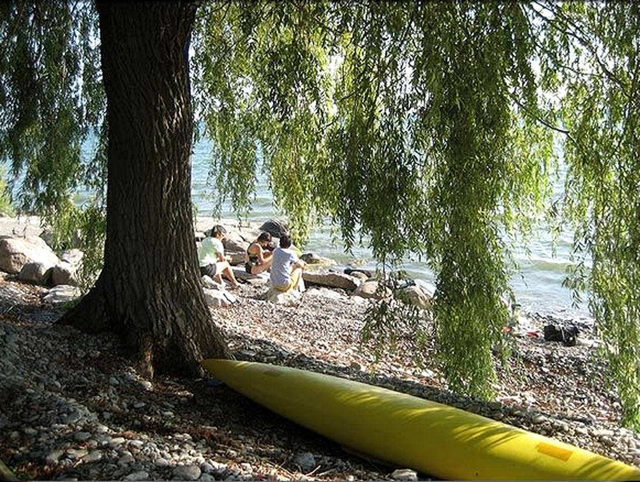 Rustic Lakefront Cottage Rental near Belleville, Ontario