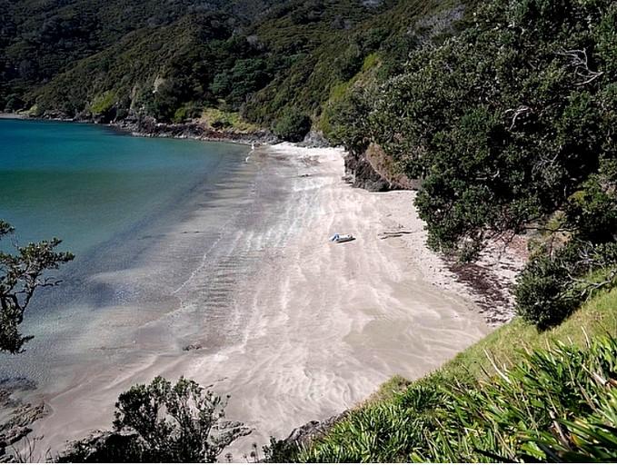 Beach Houses (Rawhiti, North Island, New Zealand)