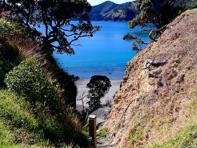 Beach Houses (Rawhiti, North Island, New Zealand)
