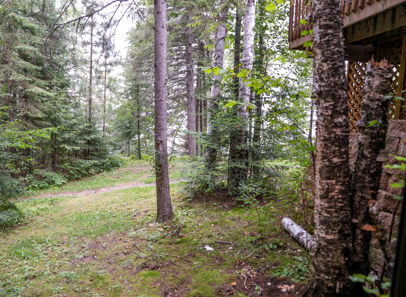 Expansive Birch Lake Cabin with Large Great Room & Outdoor Fun Near Babbitt, Minnesota