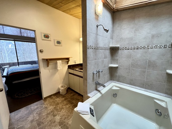 Vacation Rentals (United States of America, Winhall, Vermont)