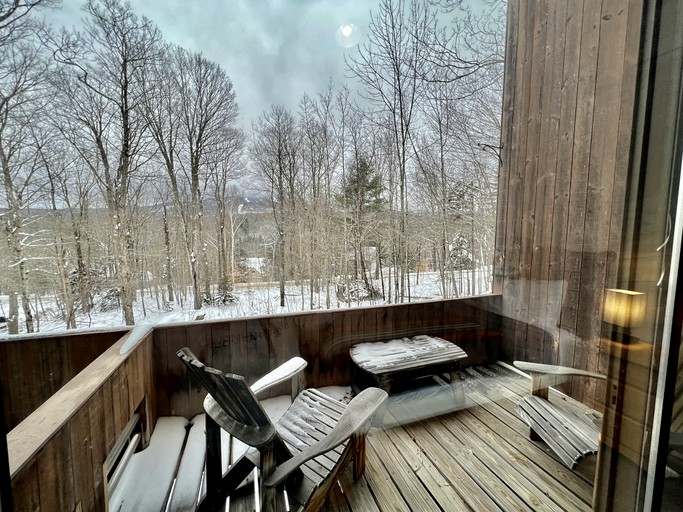 Vacation Rentals (United States of America, Winhall, Vermont)