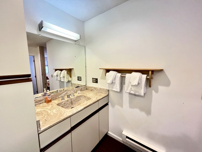 Vacation Rentals (United States of America, Winhall, Vermont)