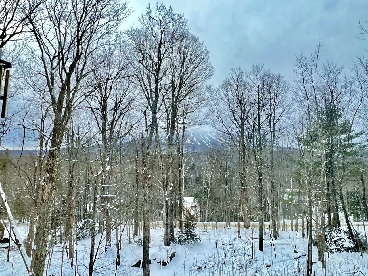 Luminous Cabin Ideal for Families or Groups in Vermont