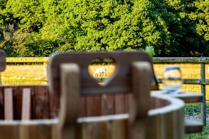 Romantic Glamping Getaway with a Hot Tub near Salisbury, England photo 4