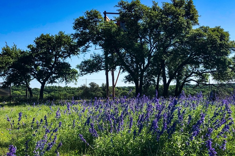 Cabins (United States of America, Mountain Home, Texas)