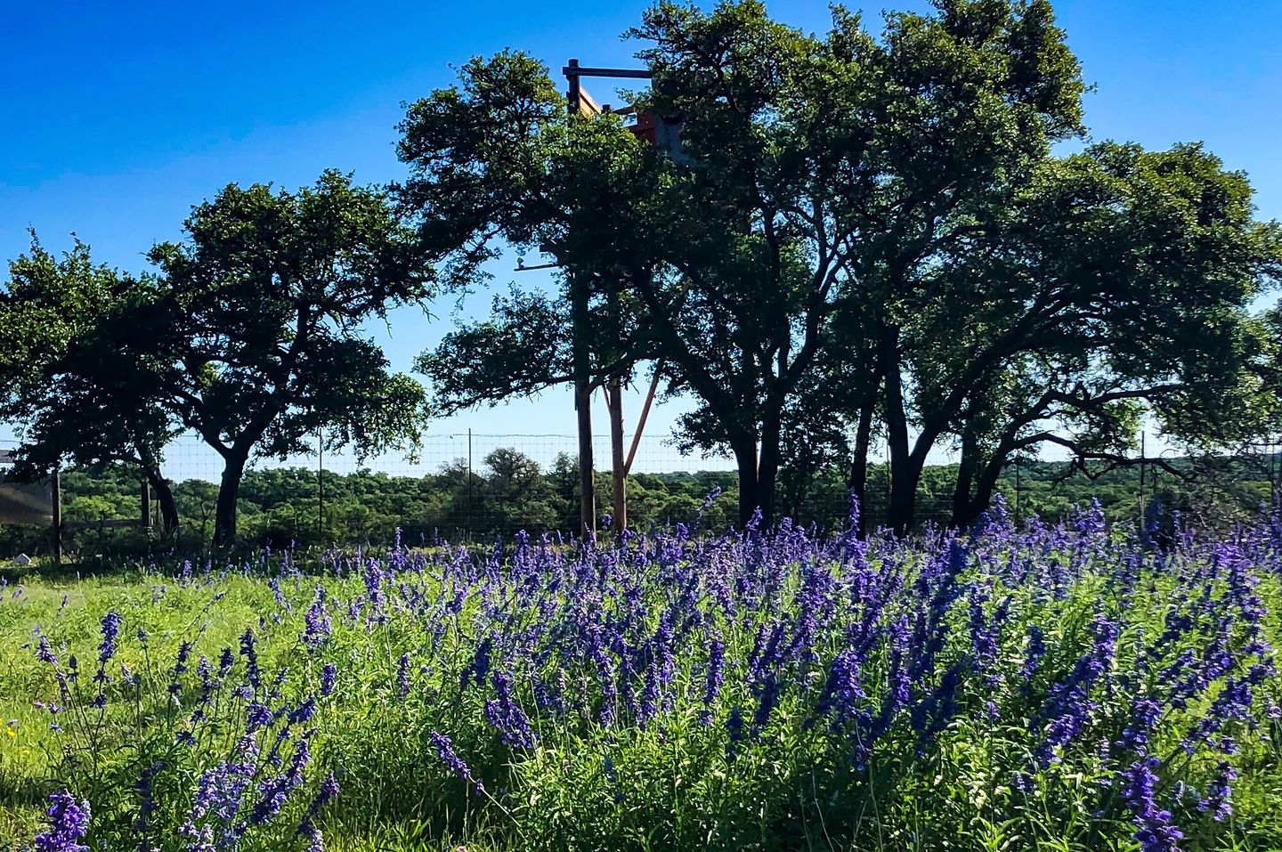 Rustic-Modern Ranch Retreat with Fire Pit & Nature Views in Mountain Home, Texas