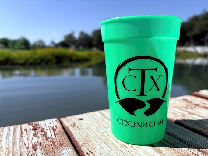 Tiny Houses (United States of America, Seguin, Texas)