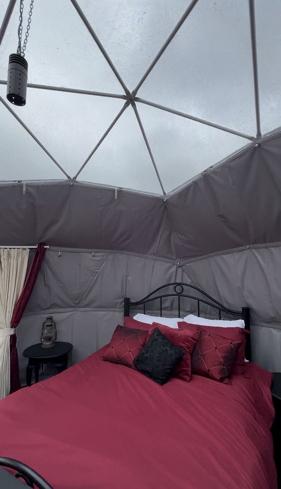Cozy Geodesic Glamping Dome on a Canadian Ranch with Horses, Perfect for a Weekend of Wellness
