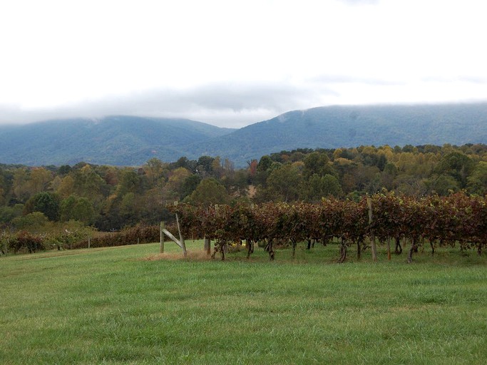 THE CARDINAL POINT FARMHOUSE, Vacation Rentals, Afton, United States of