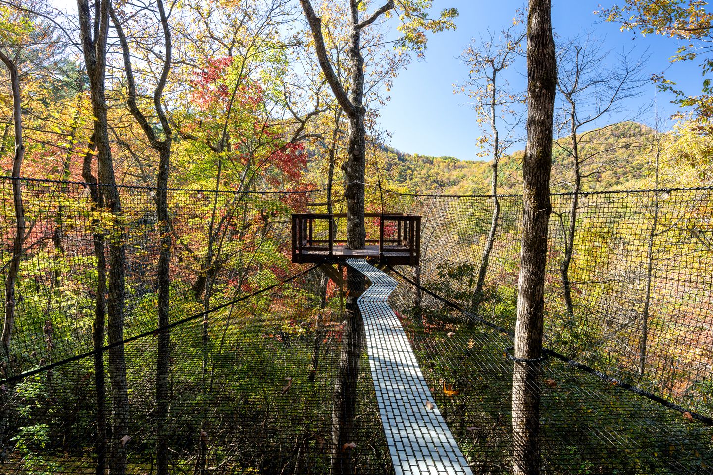 Enchanting A-Frame Treehouse with Suspended Net & Mountain Views Near Highlands, NC