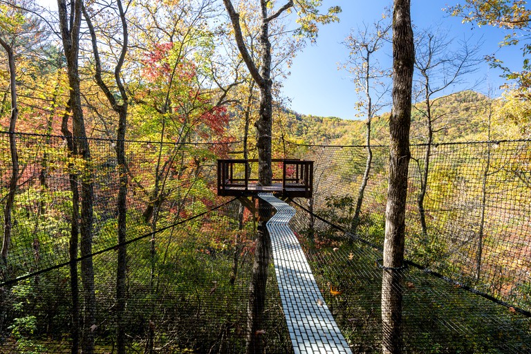 Vacation Rentals (United States of America, --, --)