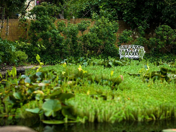 Vacation Rentals (United States of America, Stinson Beach, California)